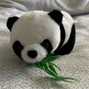 Adorable baby panda bear